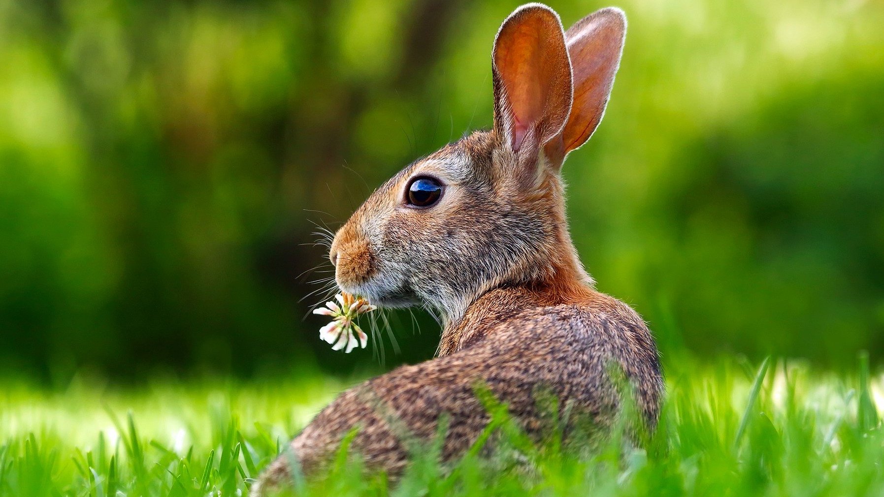 Ostern 2020 wird dieses mal etwas anders.